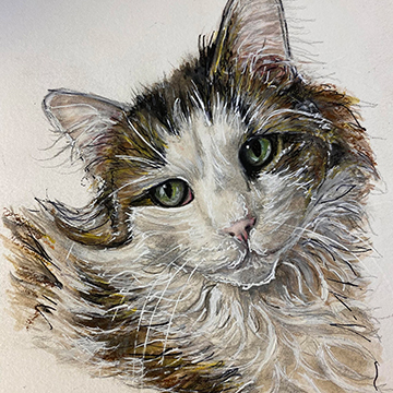 Cat Portrait