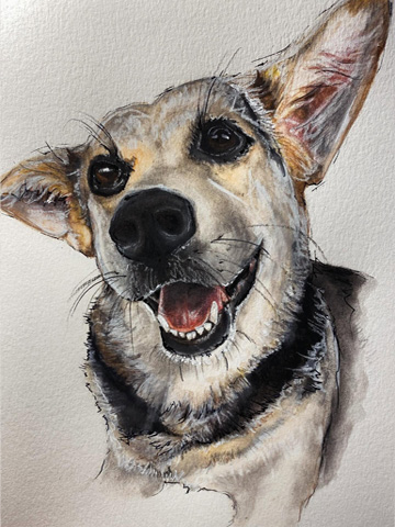 Dog Portrait
