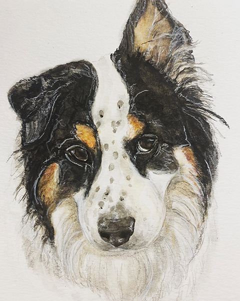 Dog Portrait
