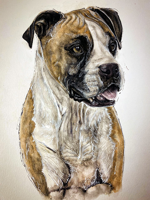 Dog Portrait