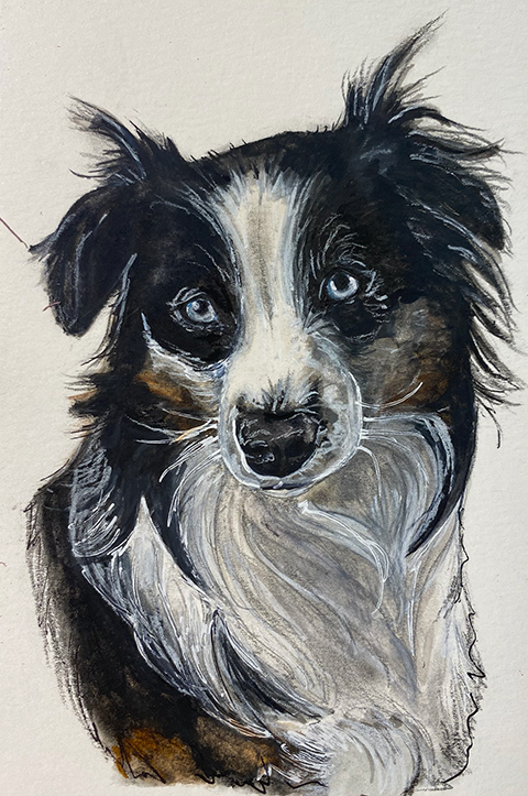 Dog Portrait