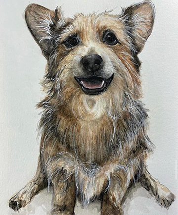 Dog Portrait
