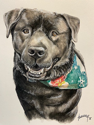 Dog Portrait